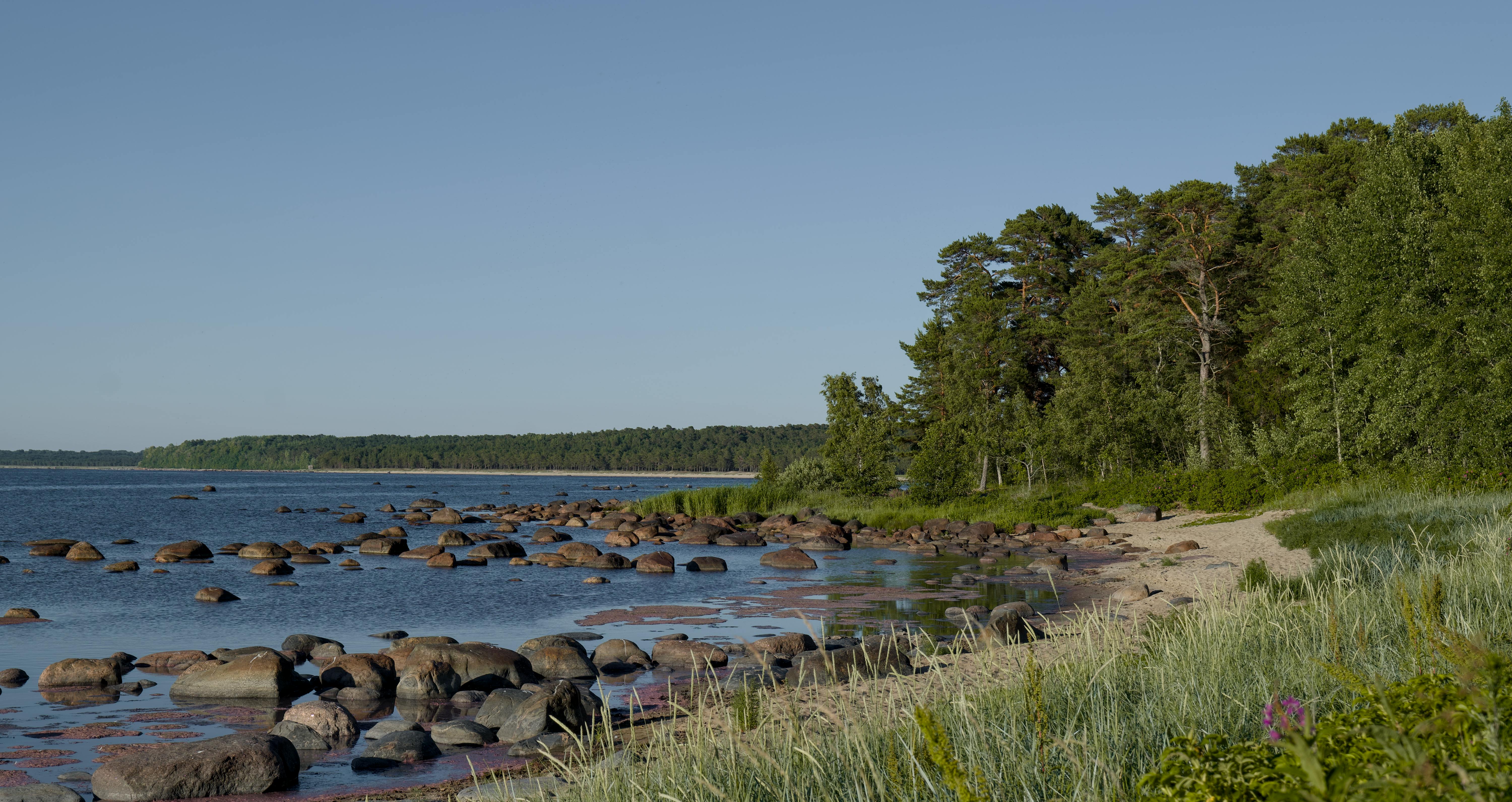 探索新竹科學園區：台灣高科技產業的搖籃與竹科出差指南