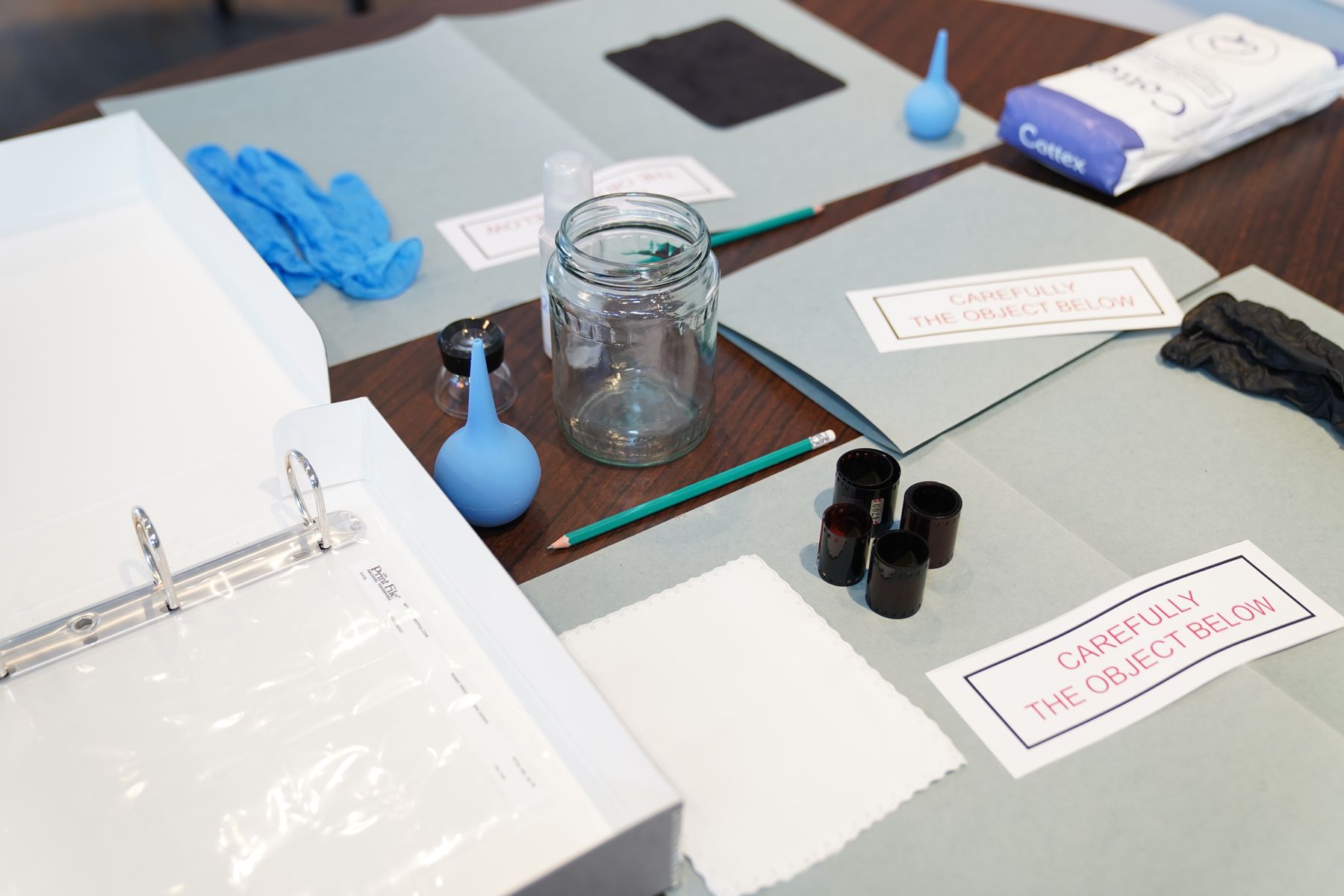 Forensics & Human Identification