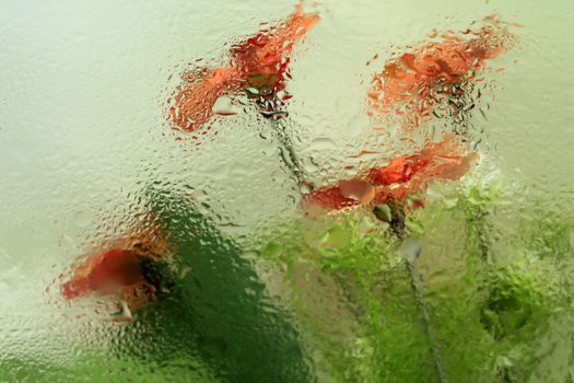 Bright flowers seen through a rain-covered window create a dreamy and abstract look.