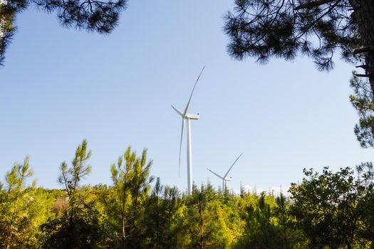 Scenic view of wind turbines surrounded by lush greenery under a clear blue sky in Istanbul, Turkey.