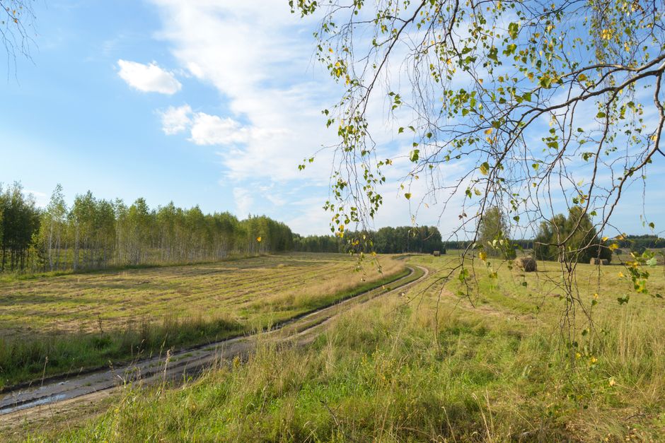 Restricții rutiere între 5-14 august pentru lucrări urgente la rețeaua de gaze naturale