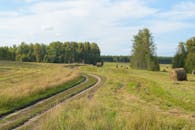 Serene Summer Field with Hay Bales and Birch Trees