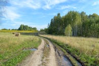 Scenic Rural Landscape with Dirt Road and Fields