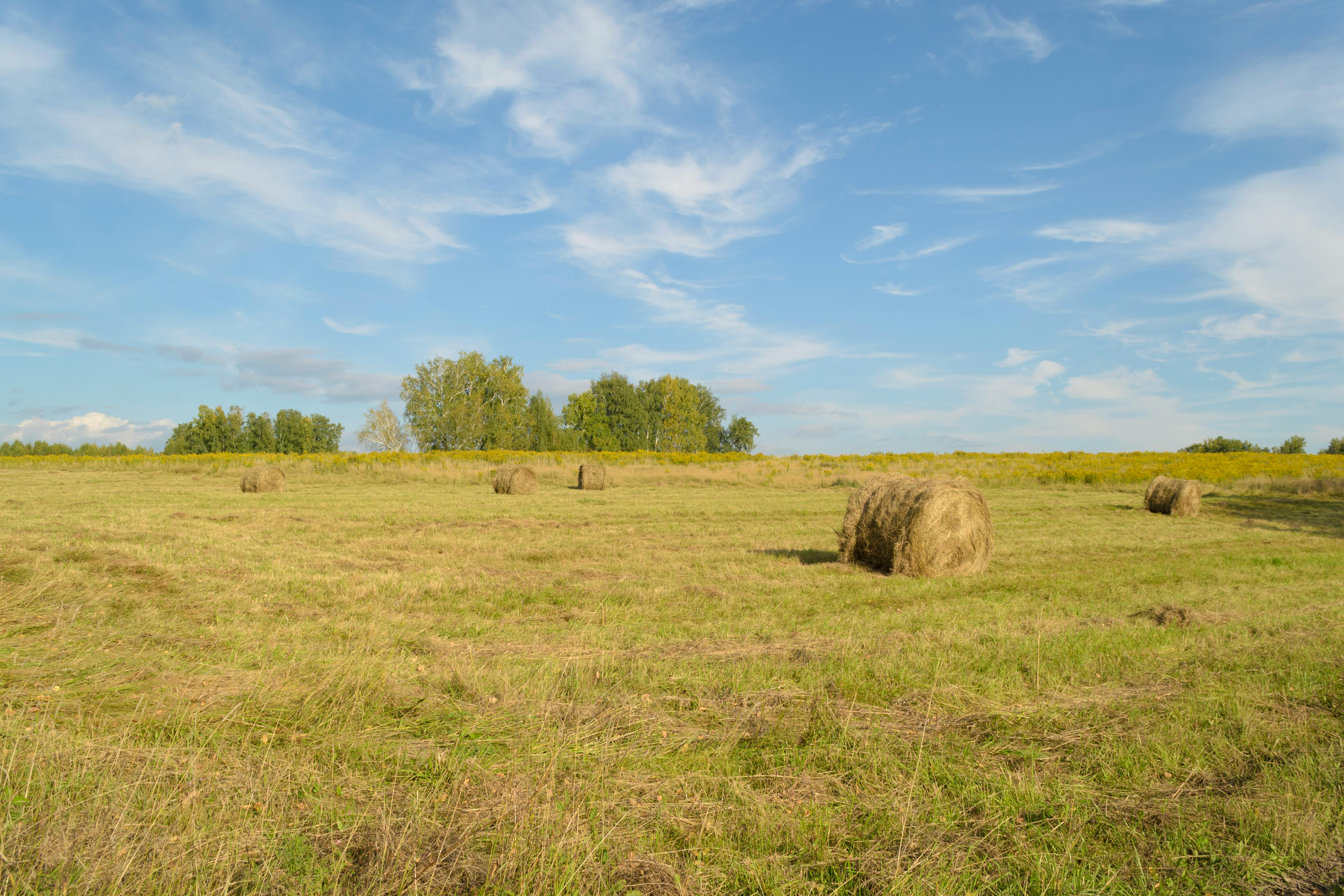 Unbelievable Growth Hacks You Haven't Tried Yet