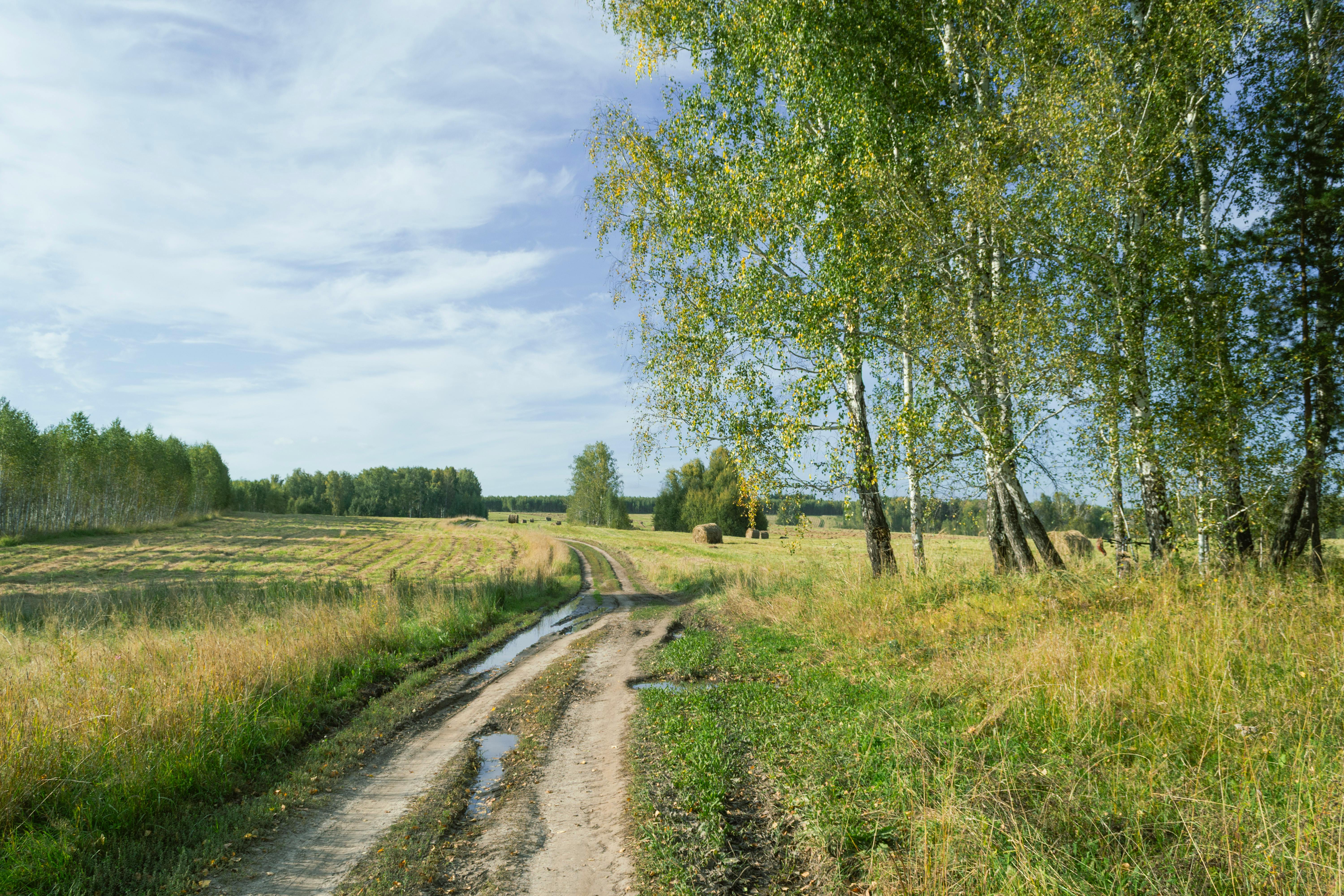 Healthy Living and Sustainable Living Tips: Reduce, Reuse, Recycle