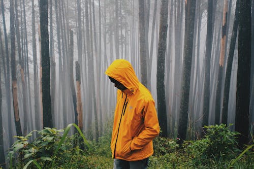 Person Wearing Yellow Zip-up Hooded Jacket