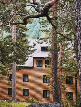 A charming wooden cabin nestled among pine trees in a serene forest environment.