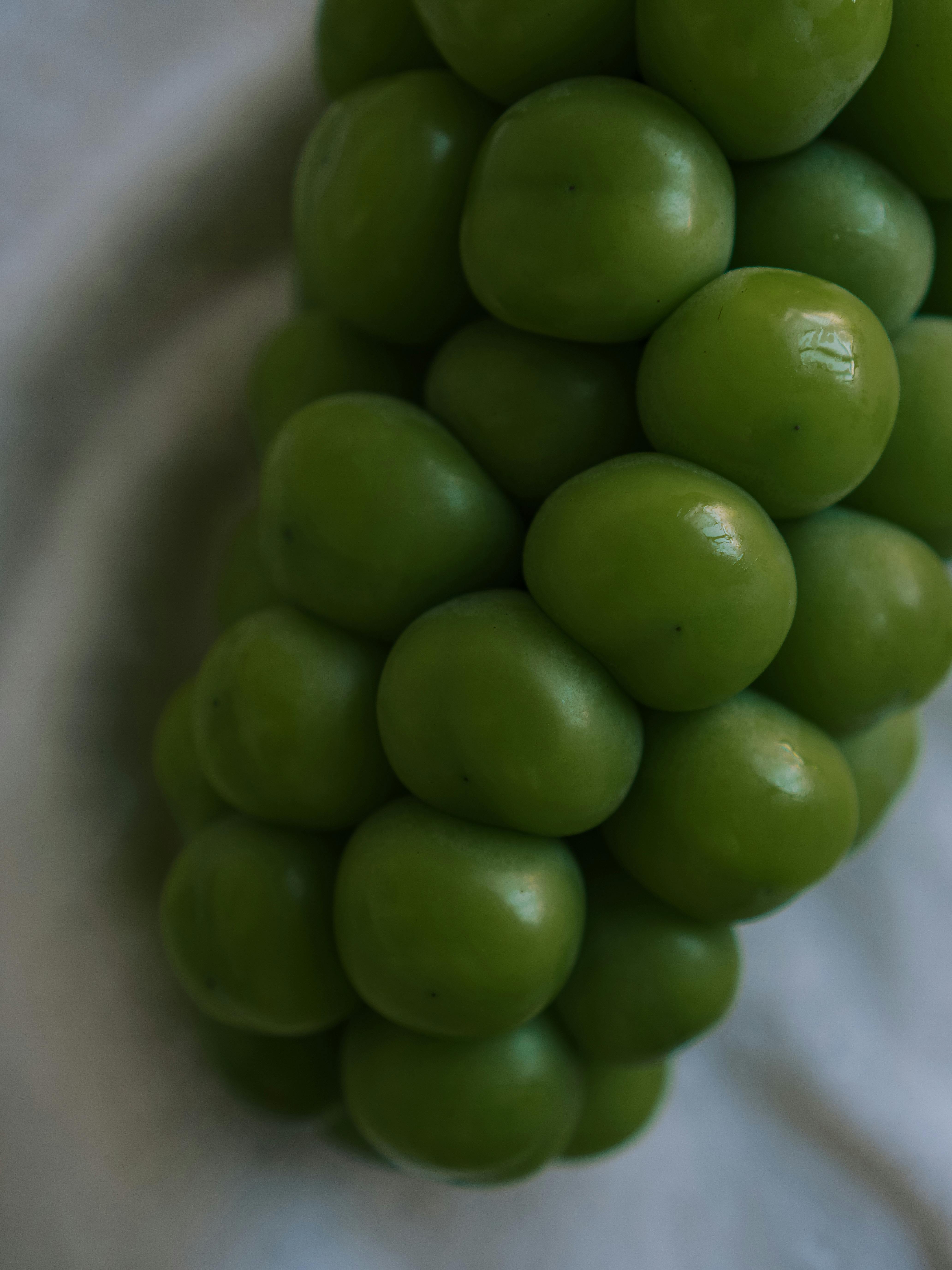 비건 라면 제품 사진