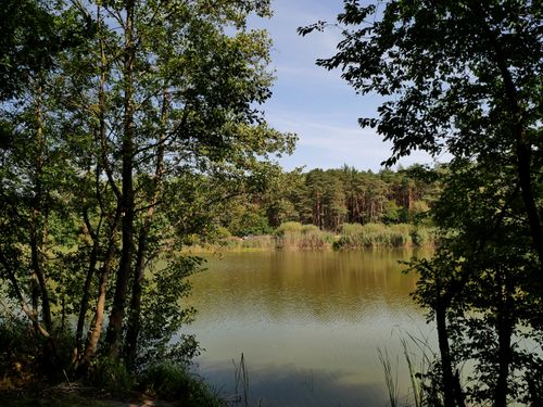 Free A serene lake surrounded by forest trees with clear blue sky. Stock Photo