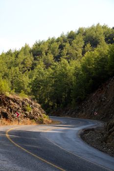 A winding road curves through lush forest in Köyceğiz, Muğla, Türkiye, under the bright daylight.