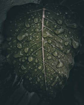 Detailed view of a green leaf covered in water droplets, showcasing nature's beauty.