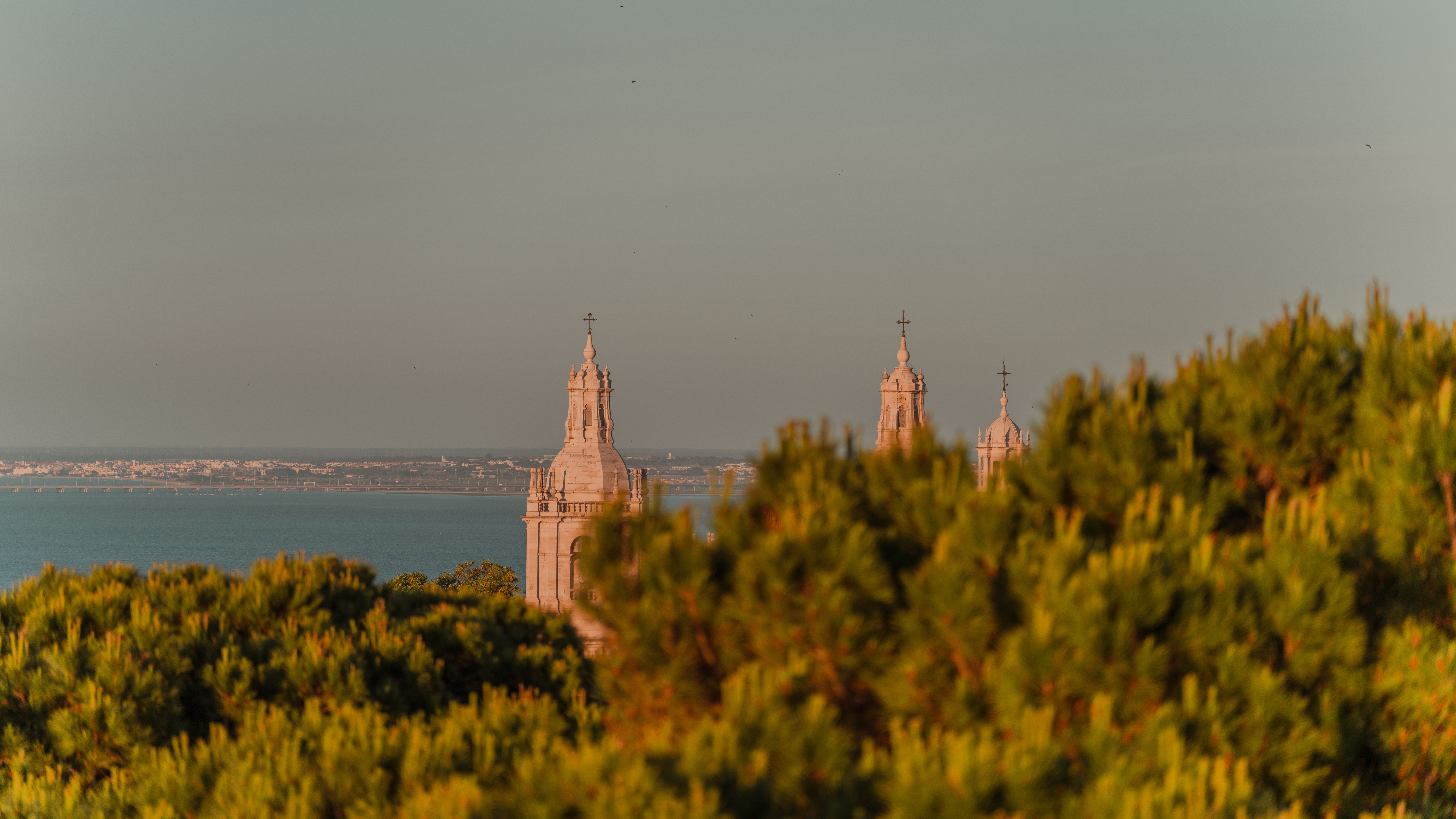 The white dome of the Basílica da Estrela seen over the treetops of the Jardim da Estrela