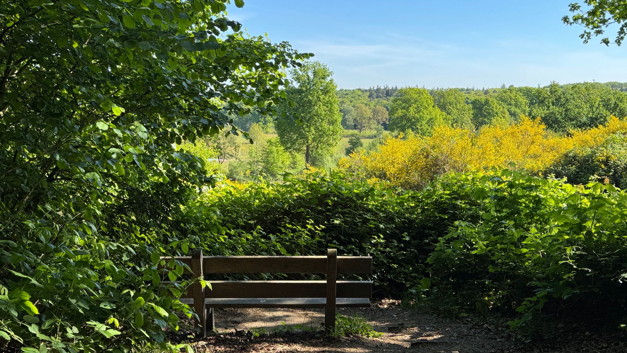 Dinsdag droog met 23 graden en af en toe zon