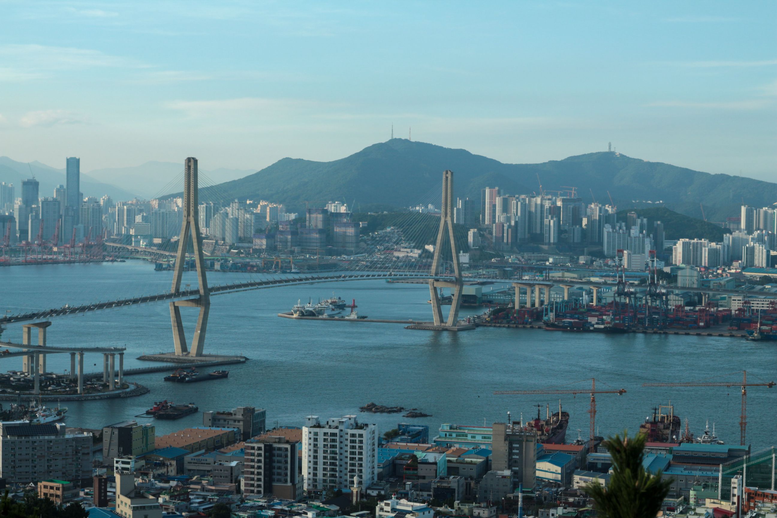 Scenic view of Busan's urban landscape with a prominent bridge and harbor.
