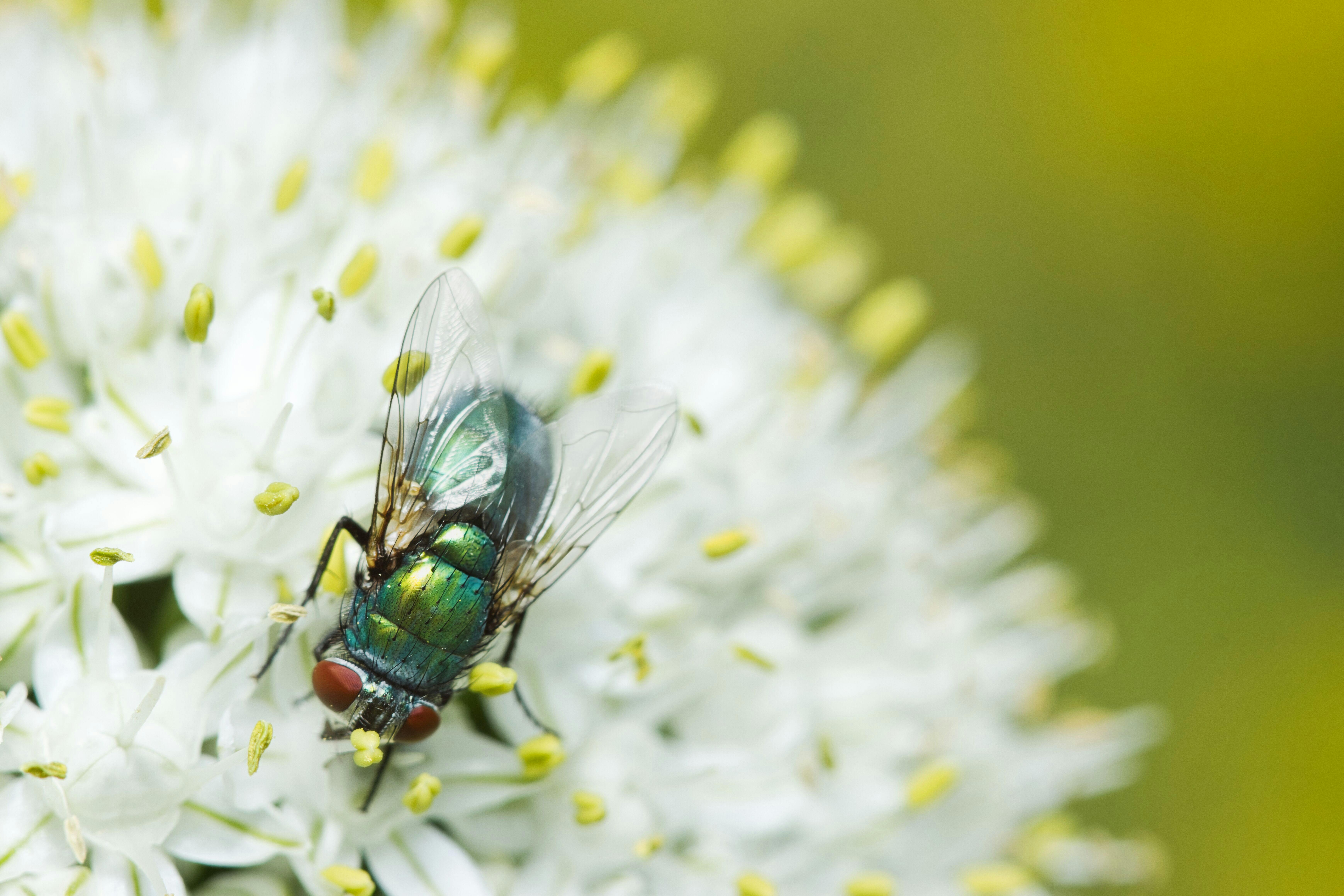 08 30天秤座每日運勢｜平衡與機會並進 掌握今天的幸運密碼