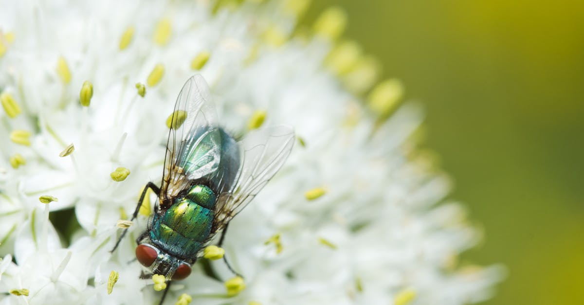 08 30天秤座每日運勢|平衡與機會並進 掌握今天的幸運密碼