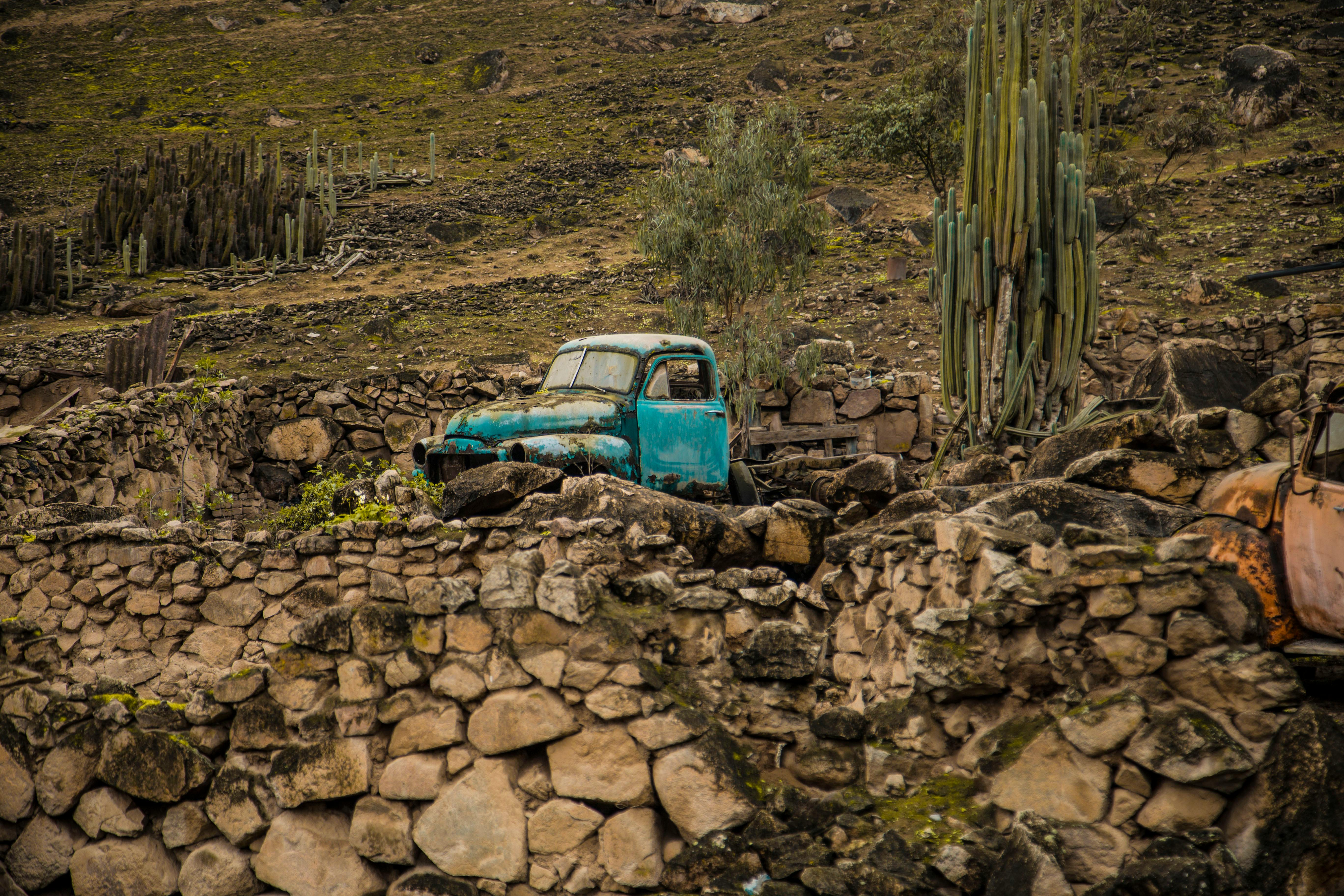A weathered turquoise truck amidst ancient stone ruins and cacti in Pachacamac, Peru.