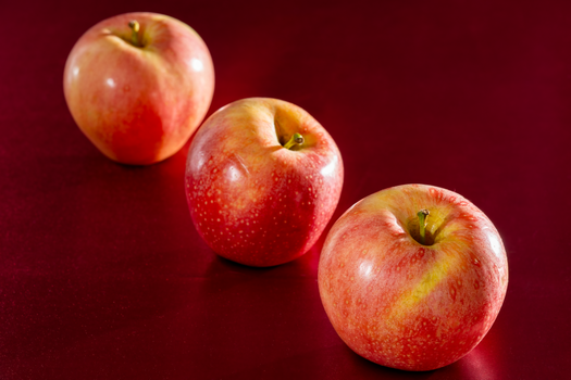 Cómo el vinagre de manzana quema grasa según la ciencia