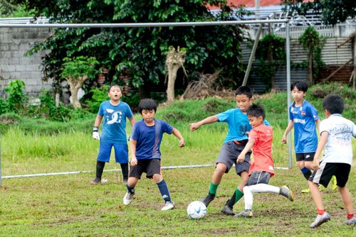 Free Group of young boys energetically playing soccer on a grassy field, showcasing teamwork and fun. Stock Photo