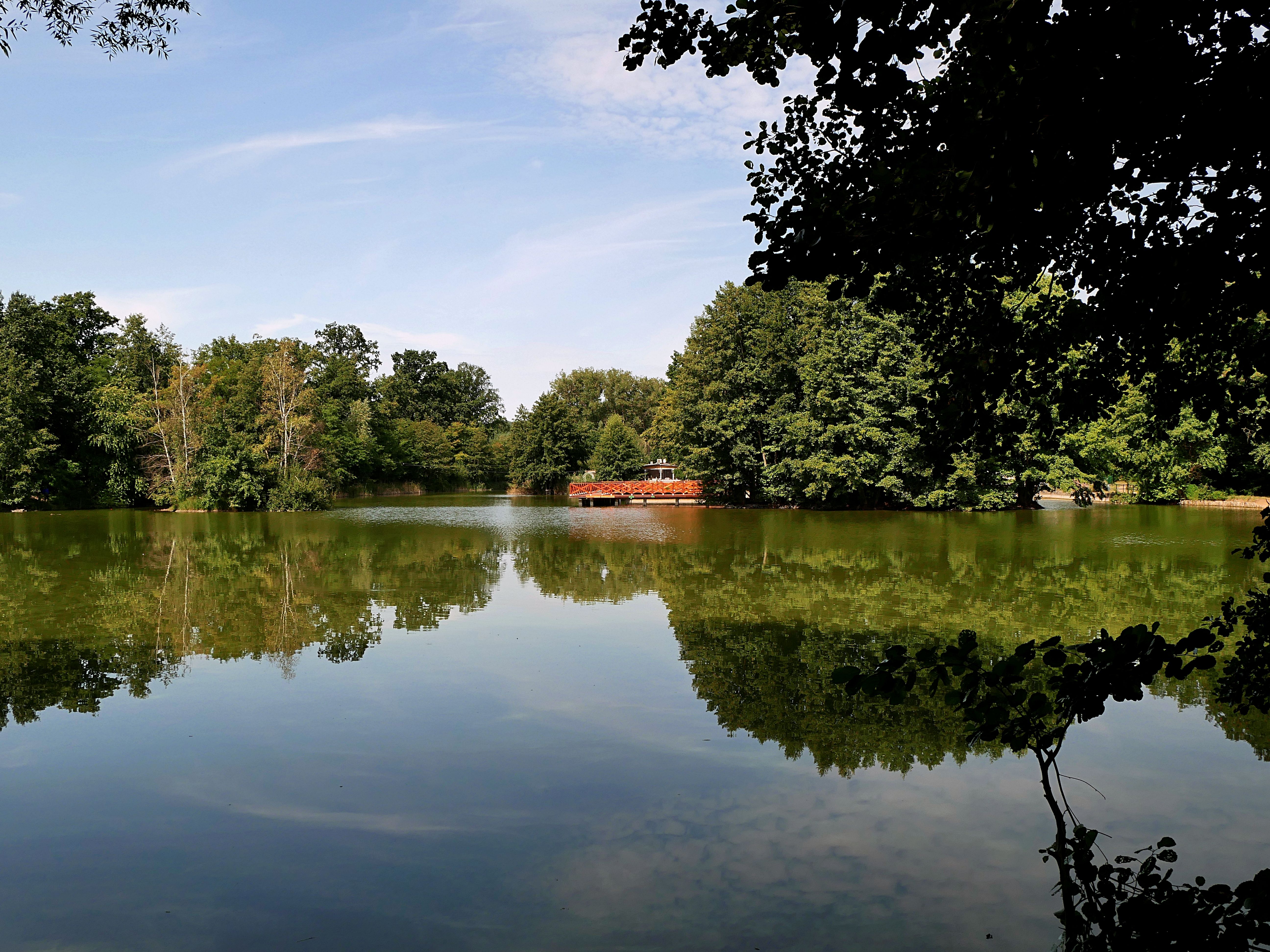Furman campus tours help future Paladins find where they belong — Photo by Ryszard Zaleski on Pexels