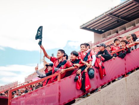 Ottawa Redblacks Face Attendance Test as Winnipeg Visit Looms Over Home Schedule