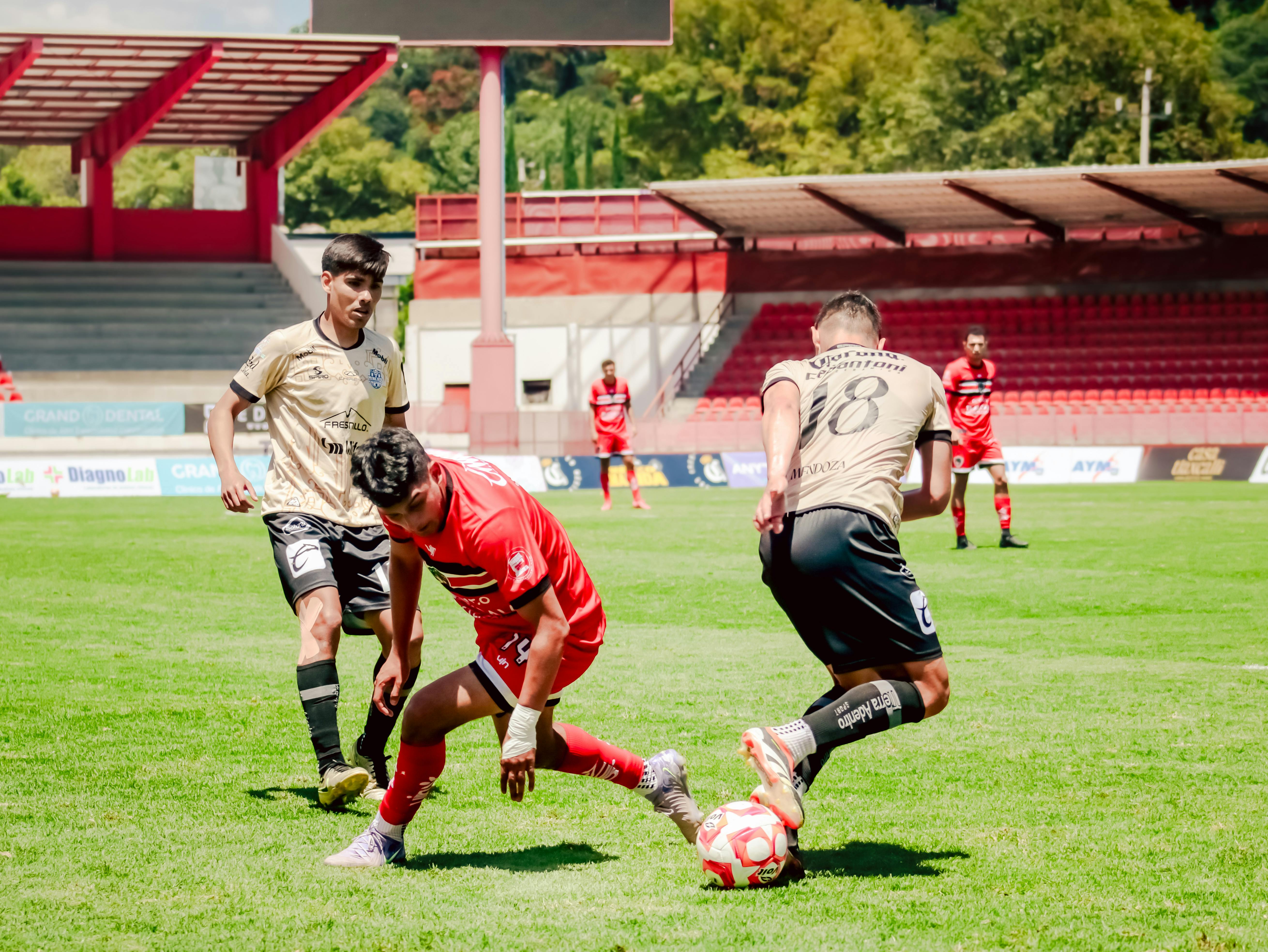 体育场景配图（资料示意）