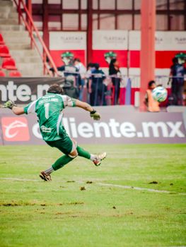 Dynamic shot of a goalkeeper making a powerful kick during a soccer match.