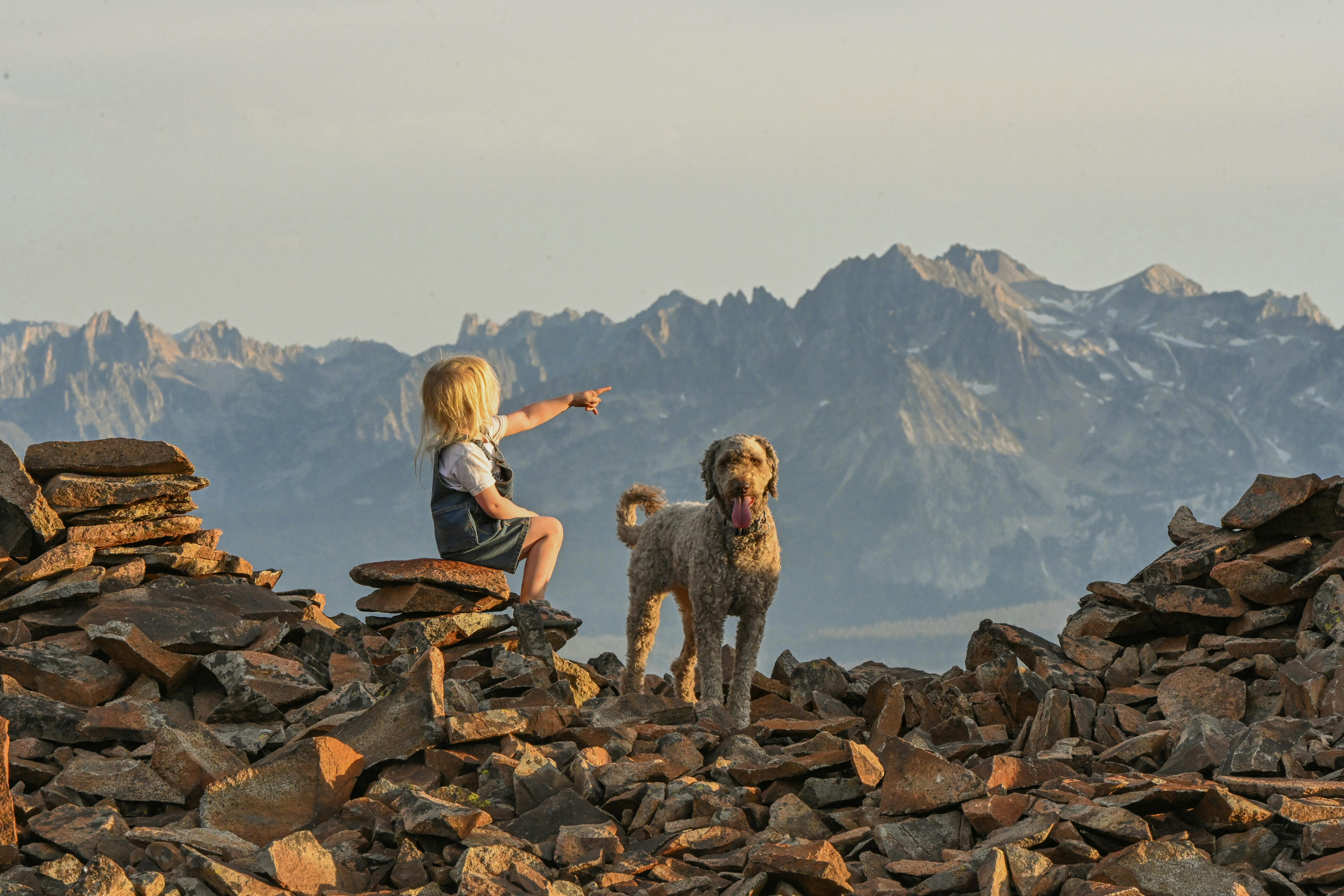 A child and a dog on rocky terrain pointing towards majestic mountains under a clear sky.