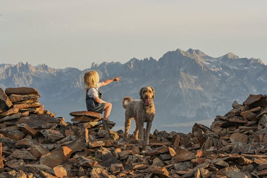 A child and a dog on rocky terrain pointing towards majestic mountains under a clear sky.