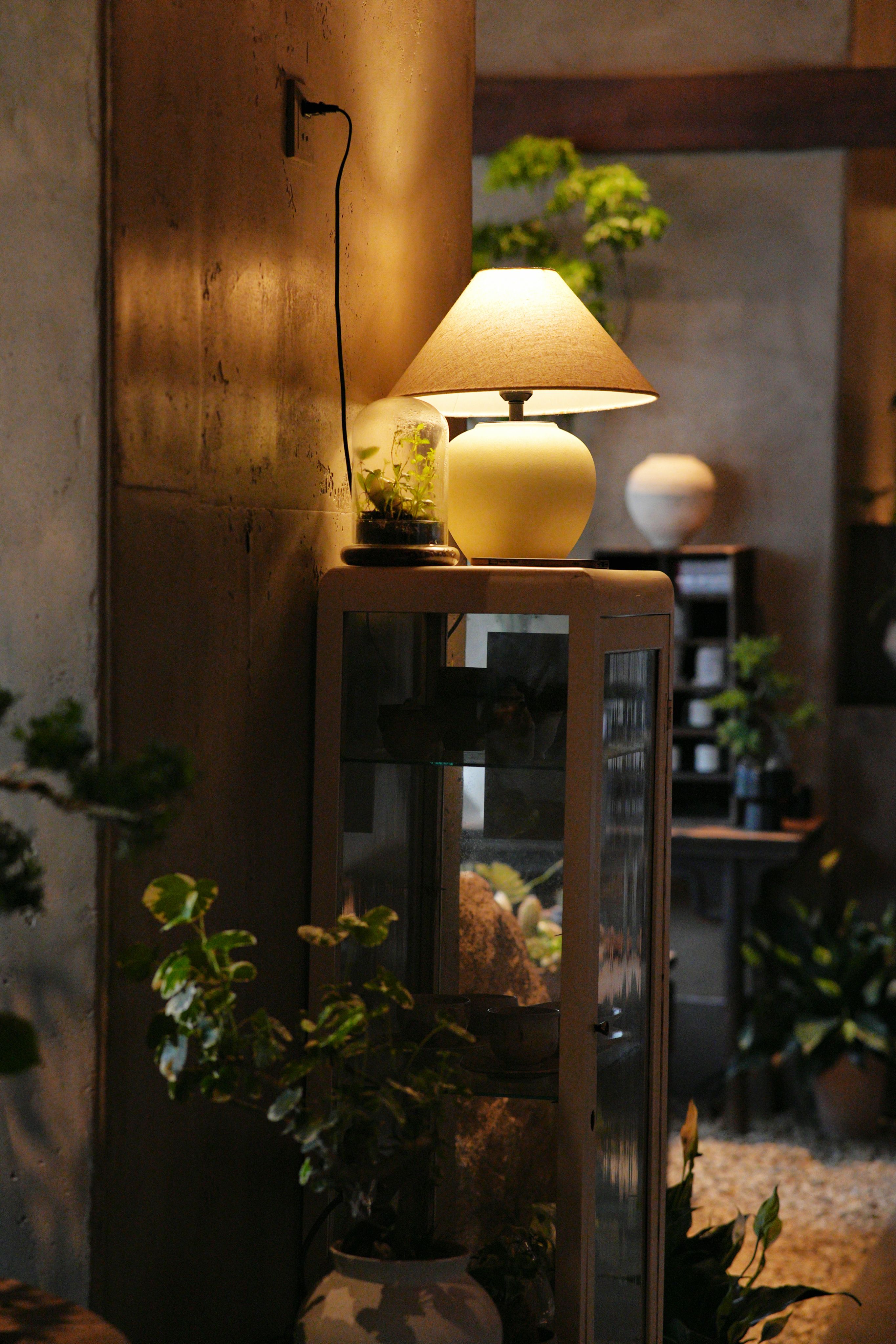 Warm indoor scene with a glowing lamp on a cabinet surrounded by plants.
