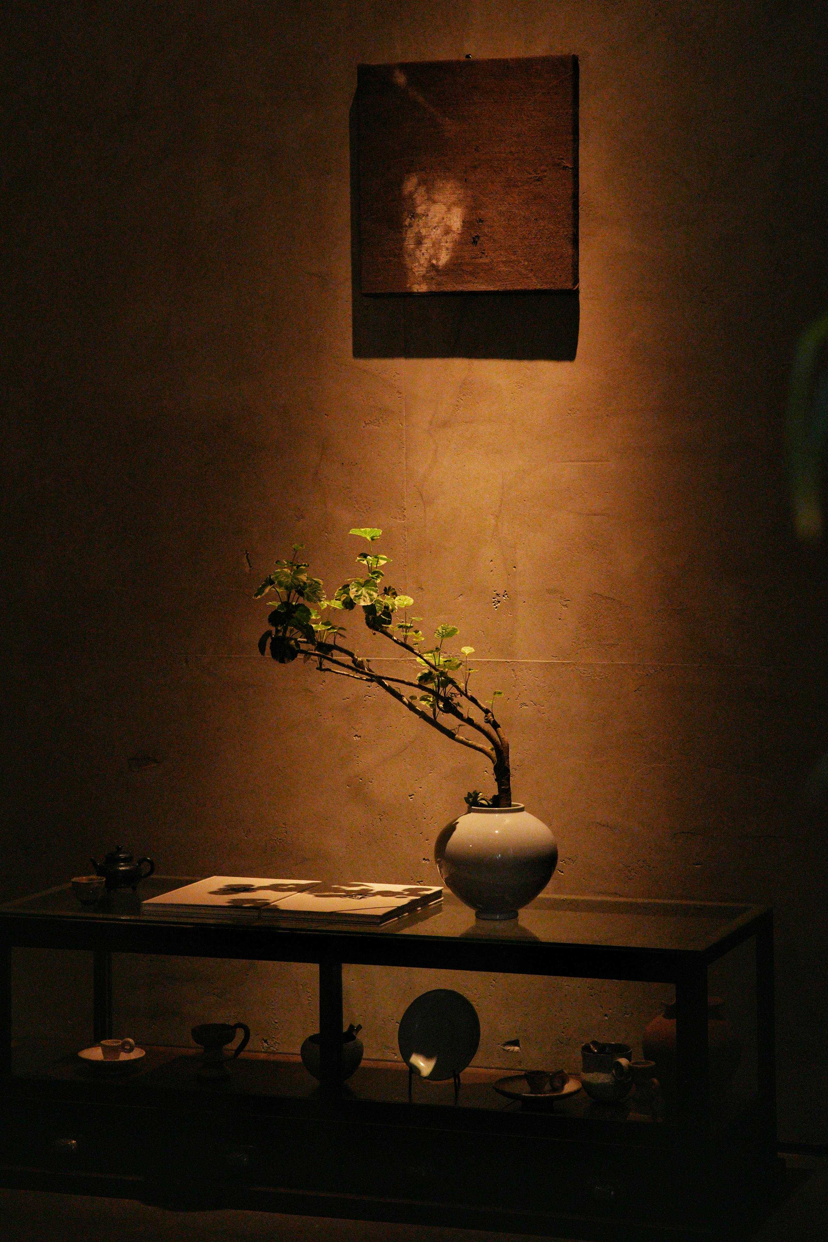 08 30天秤座每日運勢｜平衡與機會並進 掌握今天的幸運密碼