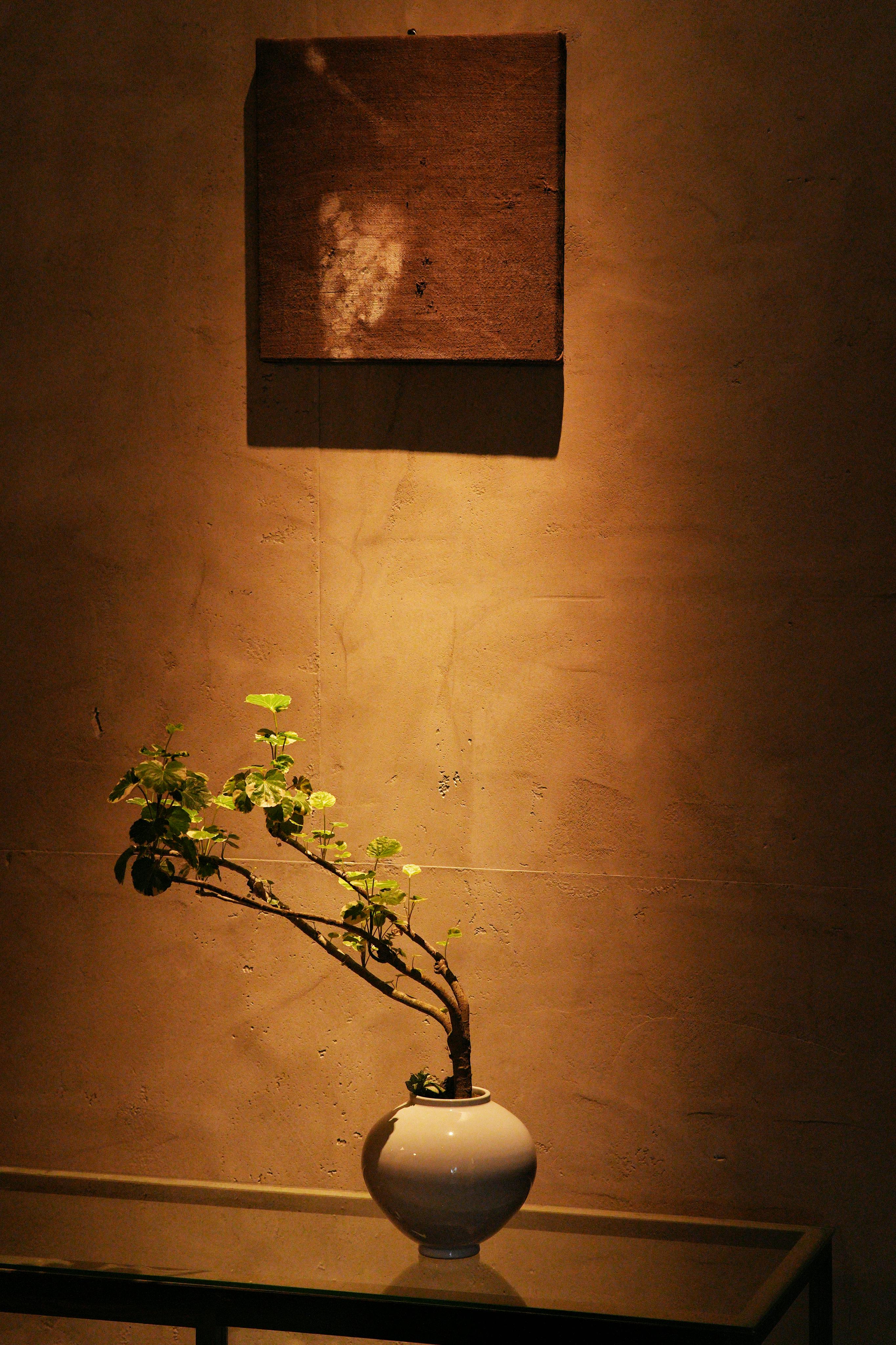 08 30天秤座每日運勢｜平衡與機會並進 掌握今天的幸運密碼