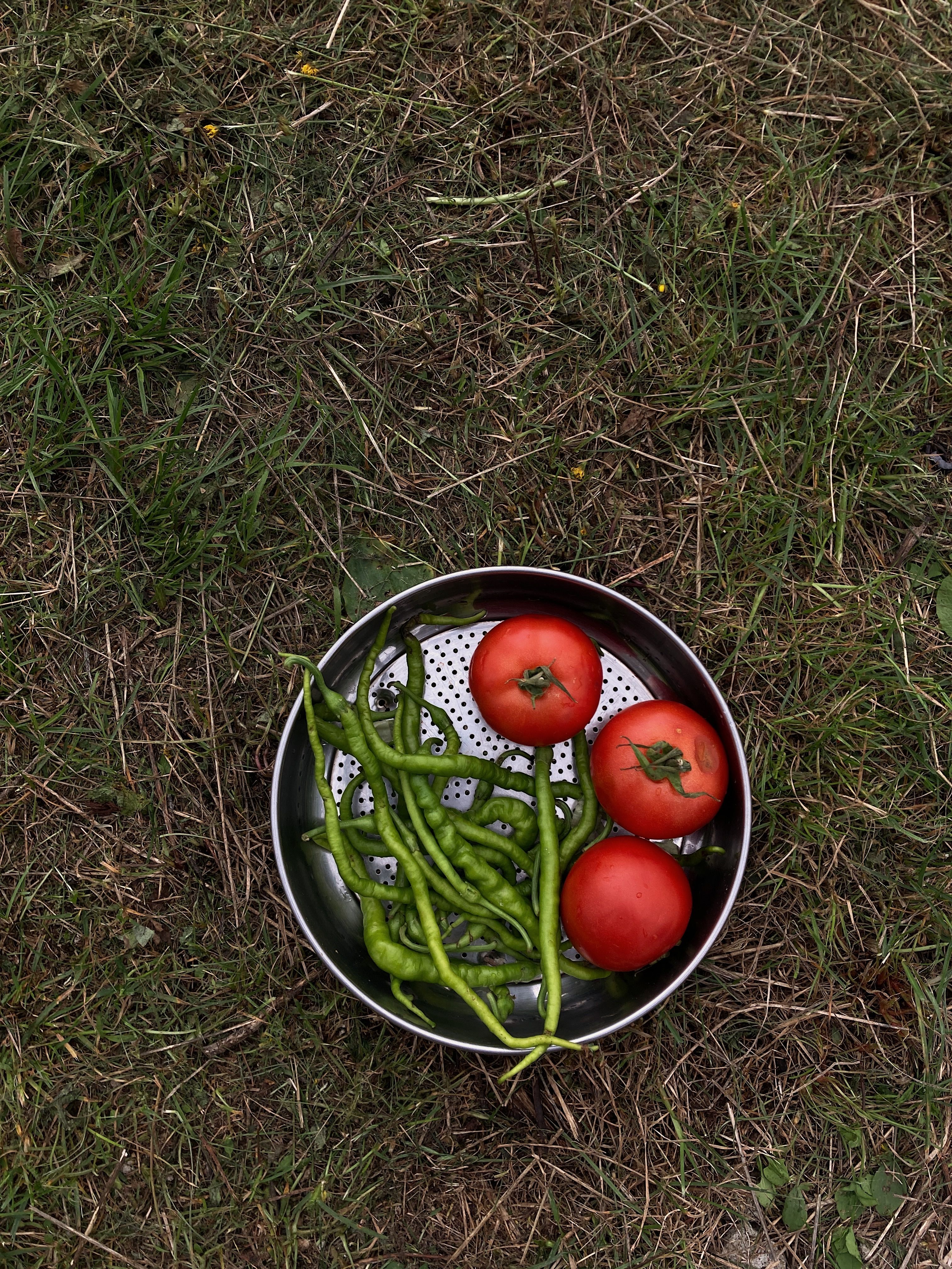 How freezer to fork meals fits into a real week