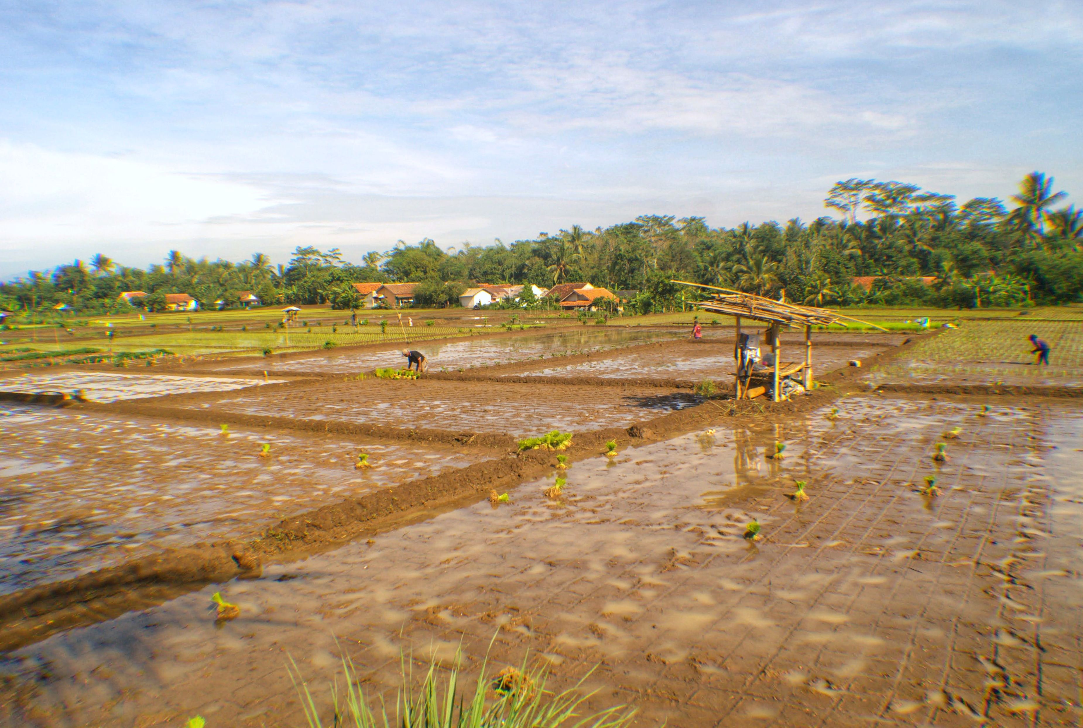Travel inspiration for Indonesia’s Cultural Foodie Trail: Villages, Street Eats, Surf and Living Traditions