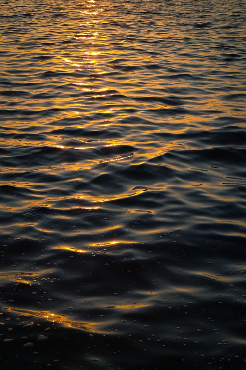 Free Capture of serene ocean waves reflecting golden sunset light, creating a tranquil, nature-inspired scene. Stock Photo