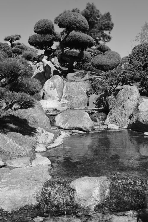 Free Peaceful black and white image of a Japanese garden landscape with rocks and water. Stock Photo
