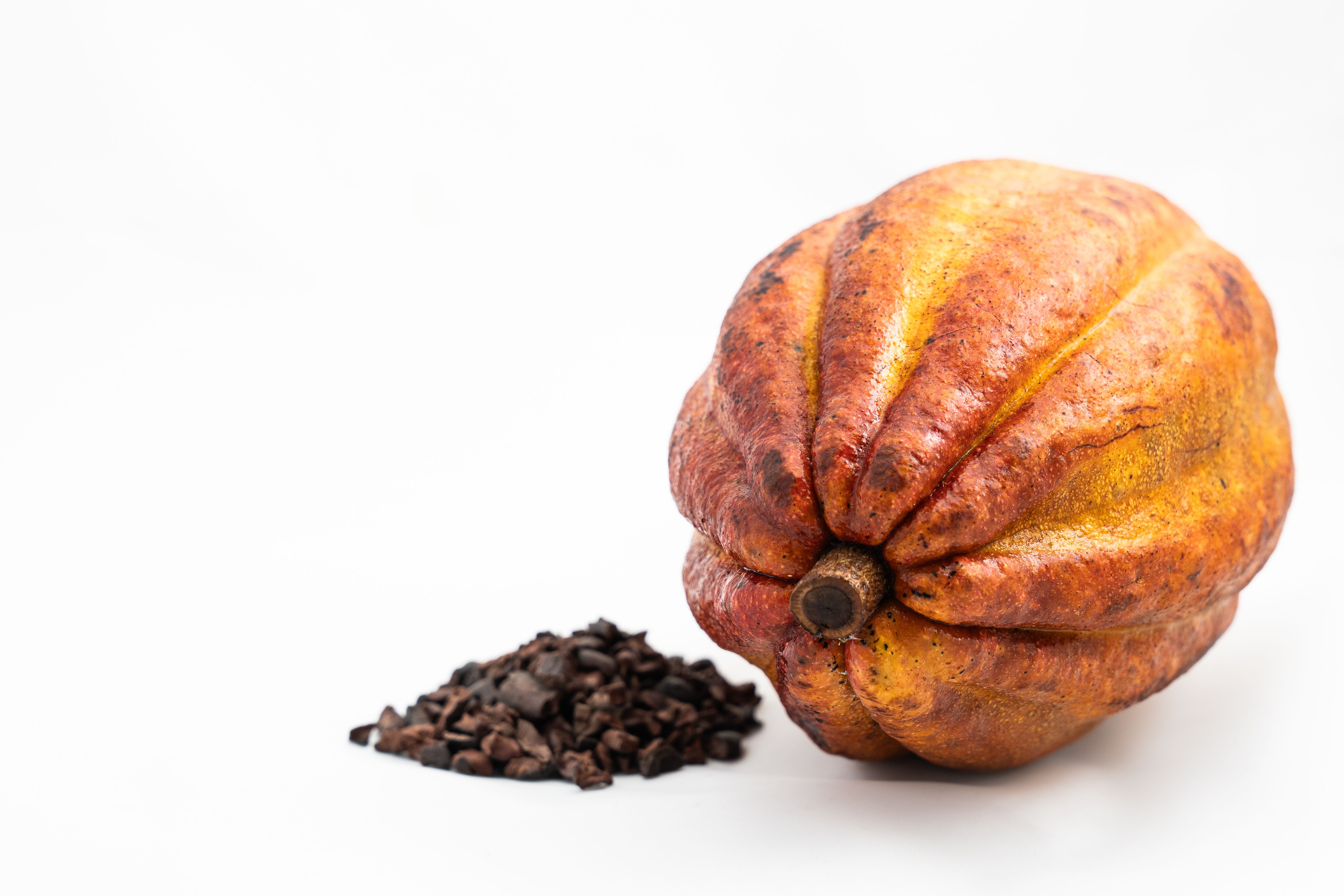 Vibrant cocoa pod and cacao beans on a white background, perfect for food industry visuals.