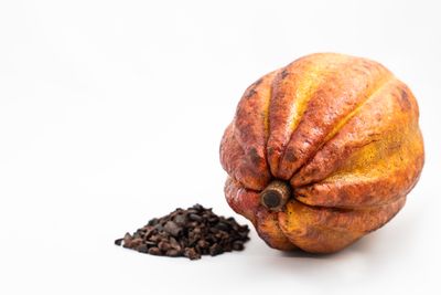Cocoa Powder