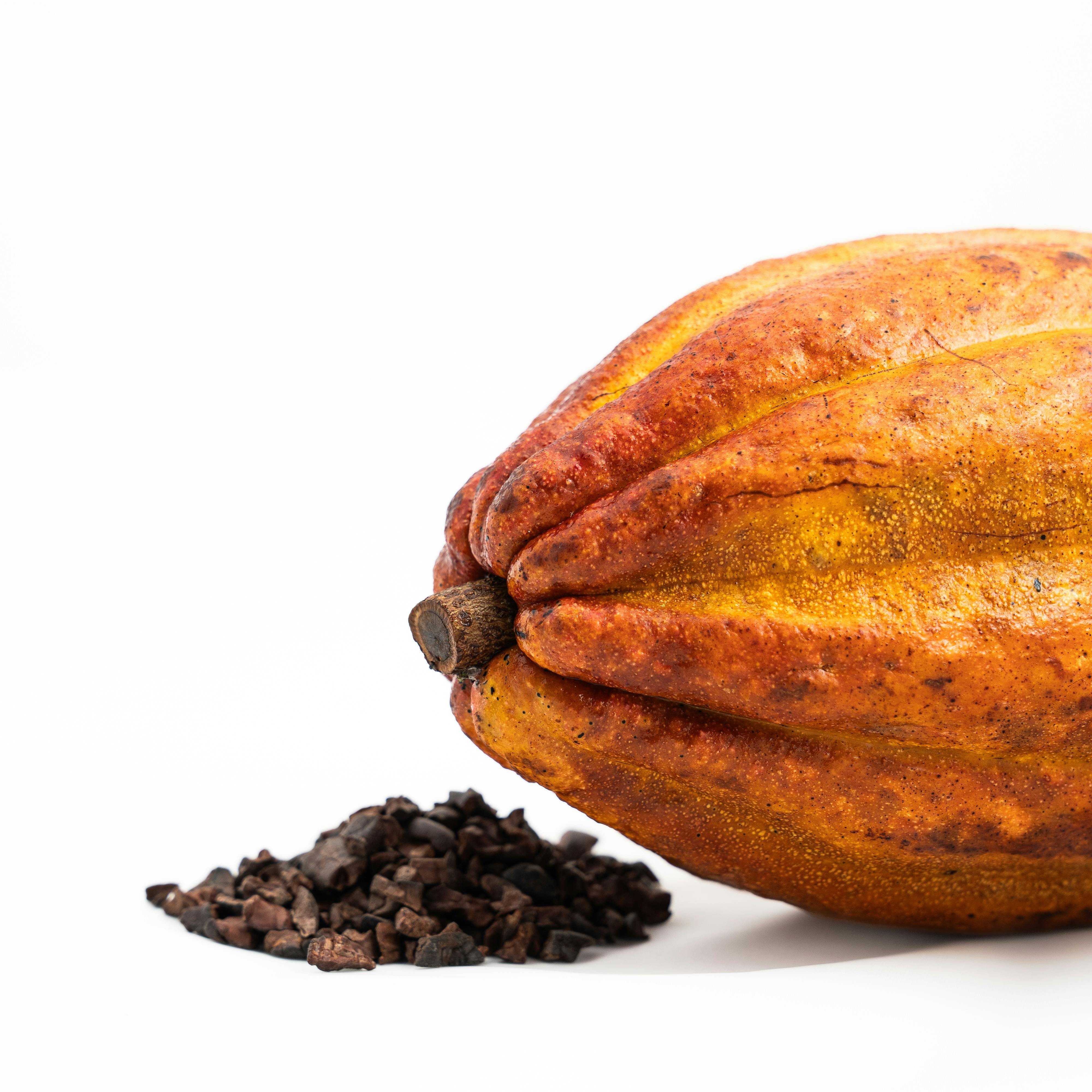 七夕甜蜜共饗 新北惜食餐廳邀你綠生活