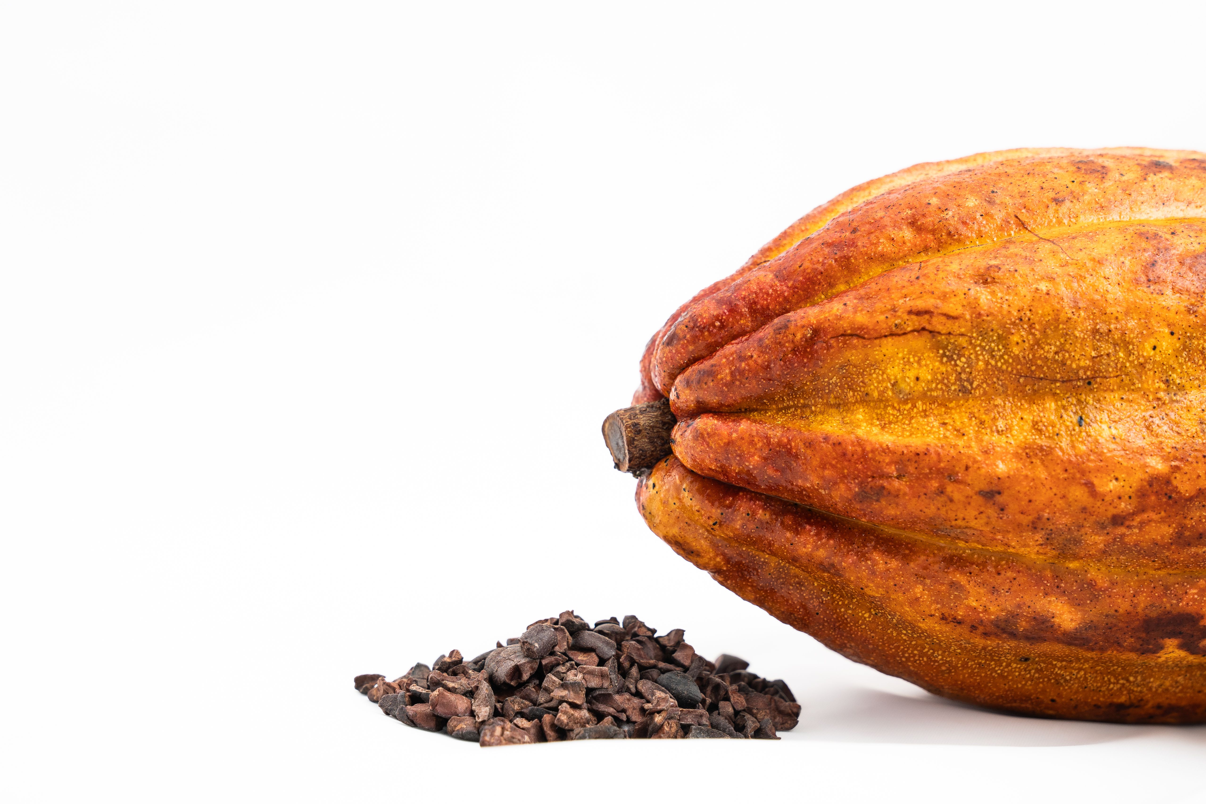 cocoa beans and dark chocolate - low sugar chocolate snacks