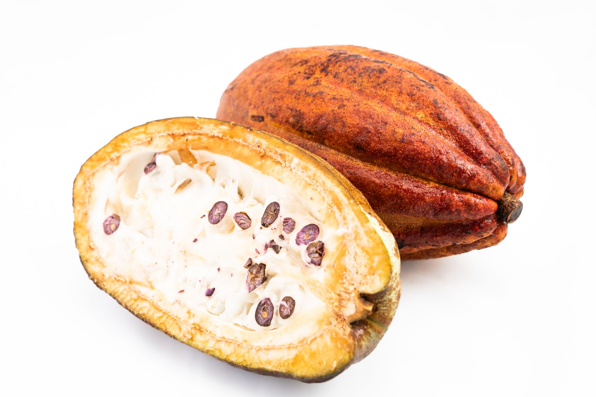 Detailed view of an open cacao pod showing seeds, emphasizing raw cocoa fruit.