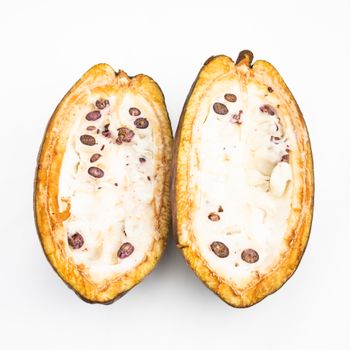 Cacao Sprouted Cacao O's