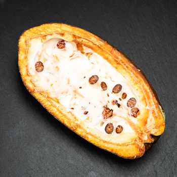 Dark Cacao Harmless Harvest