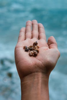 Close-up of a hand holding small seashells by the clear blue sea in Muğla, Türkiye.