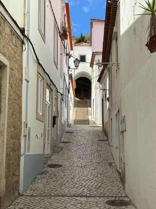 Free Discover the charm of a narrow cobblestone street in Torres Vedras, bathed in sunlight. Stock Photo