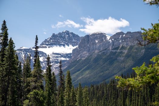 Breathtaking view of snow-capped Rocky Mountains surrounded by lush pine forest, under a clear blue sky.
