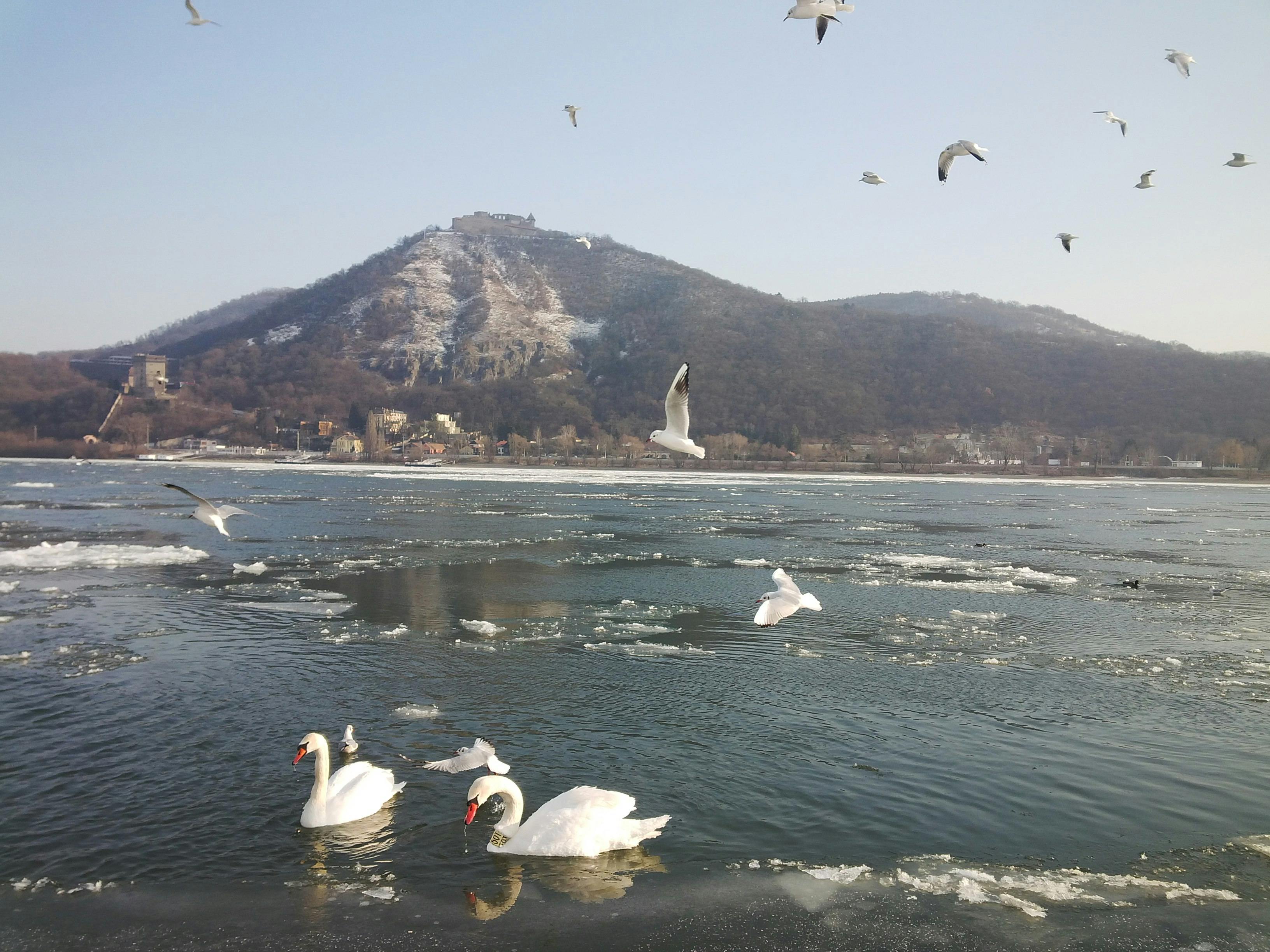 Bakırköy'de Satılık Daire Alırken Garanti Sözleşmesi Var mı? Bilmeniz Gerekenler