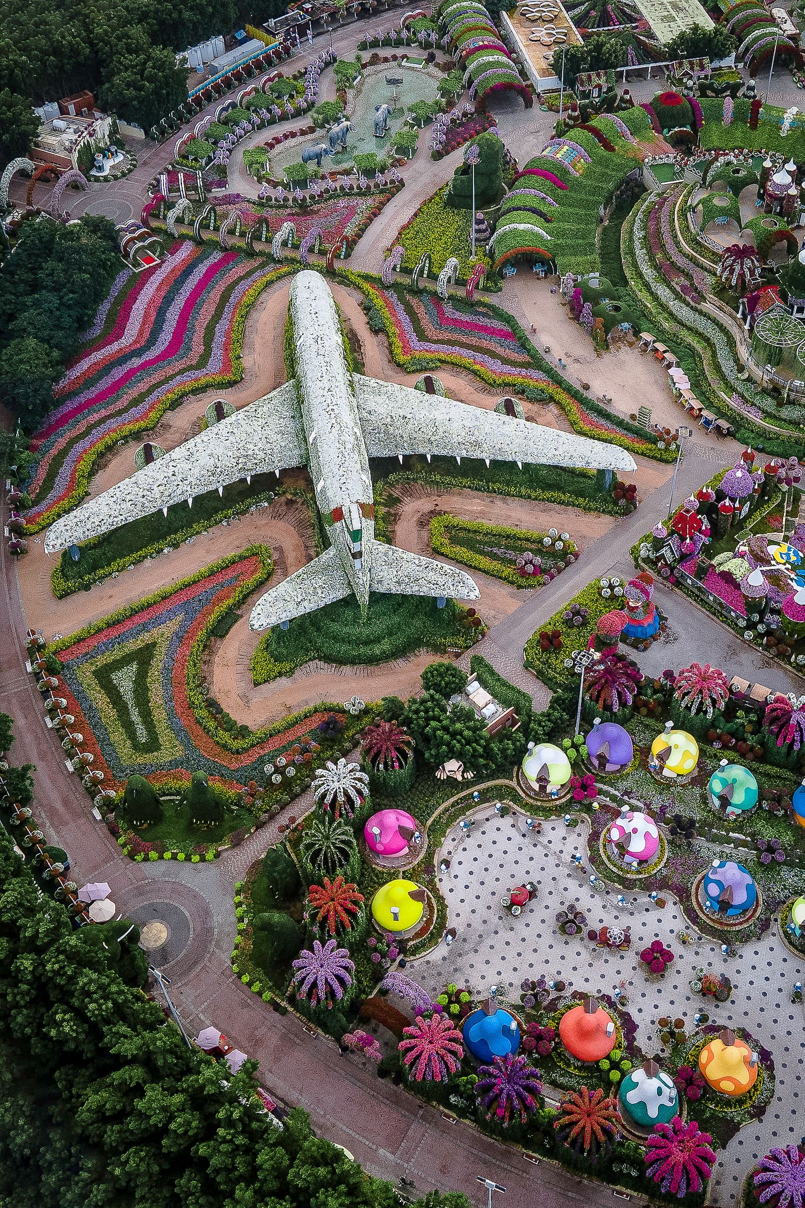 Aerial view of Dubai Miracle Garden showing the flower-clad A380 aircraft, colourful curved flower beds and village domes.