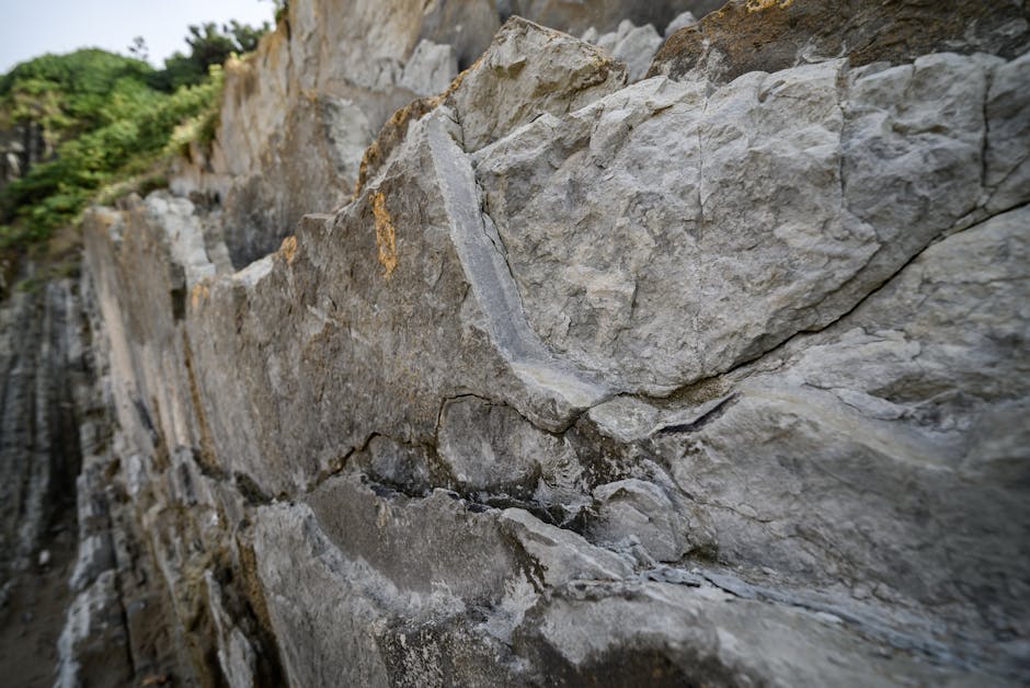 ¡Increíble descuento en País Vasco!