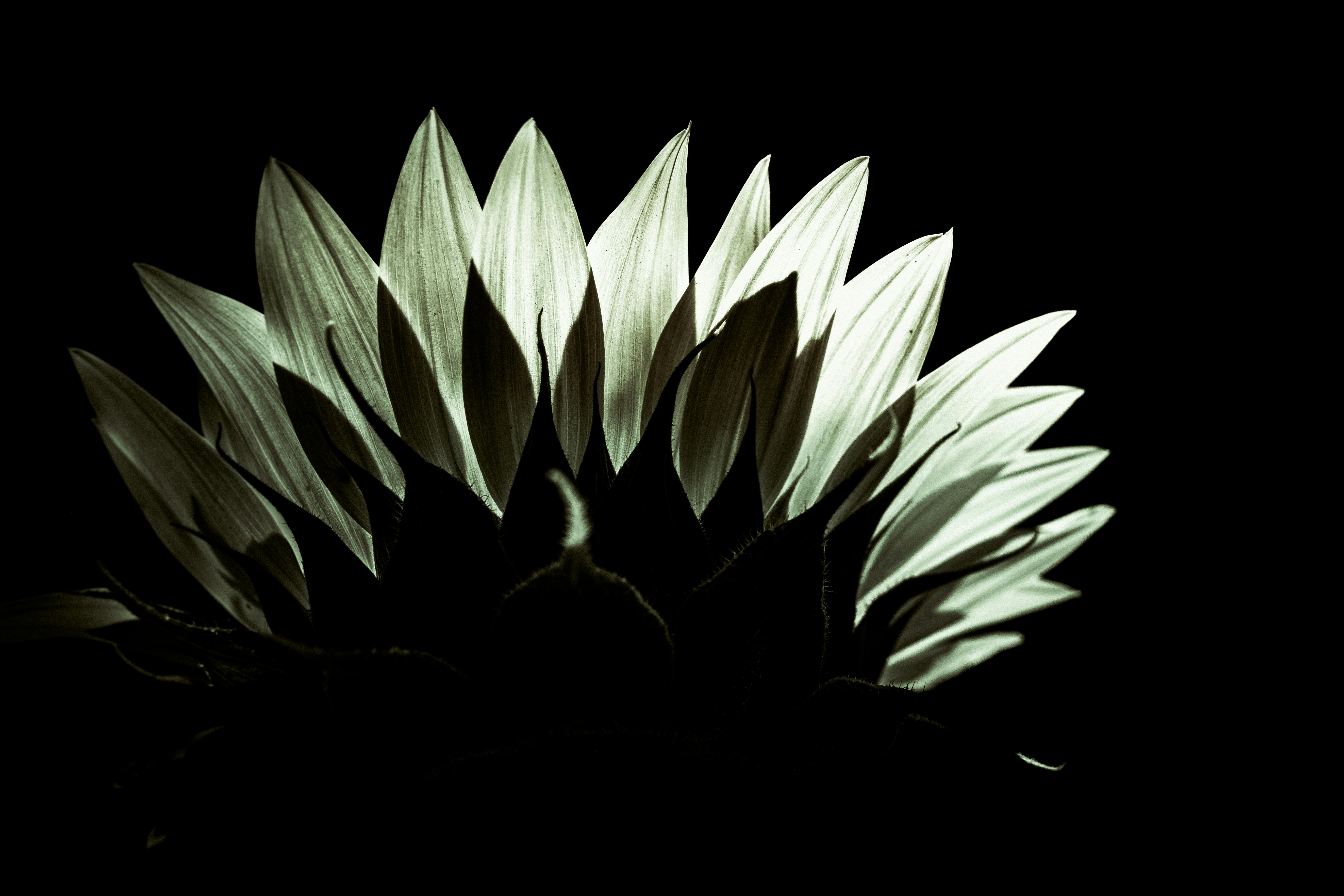 08 30天秤座每日運勢｜平衡與機會並進 掌握今天的幸運密碼